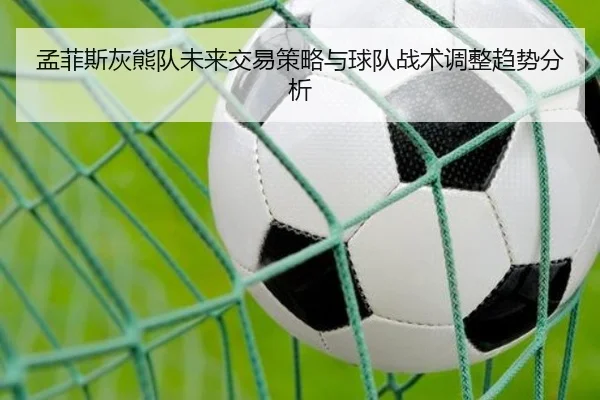 孟菲斯灰熊队未来交易策略与球队战术调整趋势分析